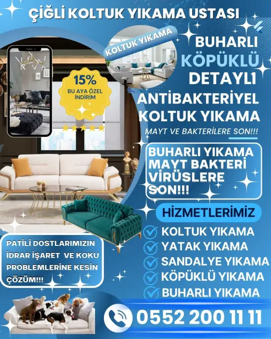 Çiğli koltuk yıkama
